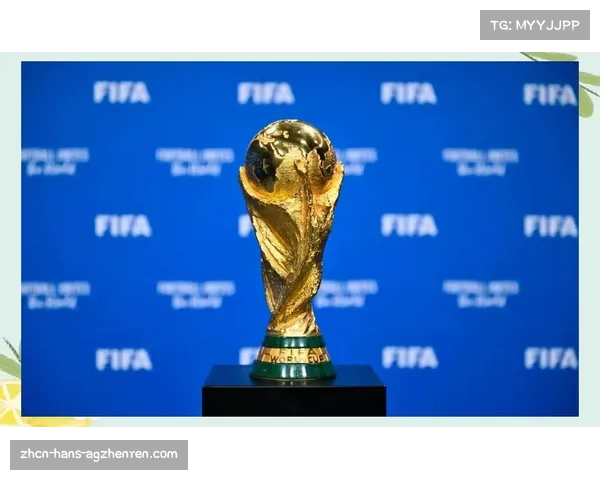 中国申办2034世界杯的背景与影响分析-亚洲足球未来的发展方向探讨